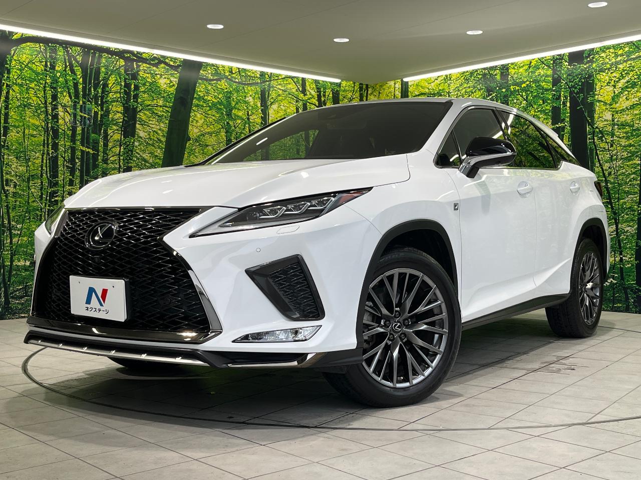 2019 Lexus RX RX300 F Sport