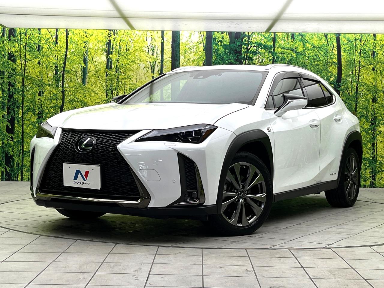 2019 Lexus UX Hybrid UX250h F SPORT