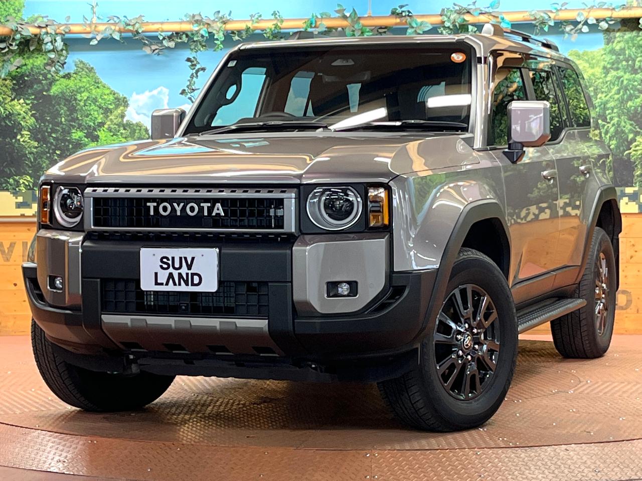 2024 Toyota LandCruiser 250 VX
