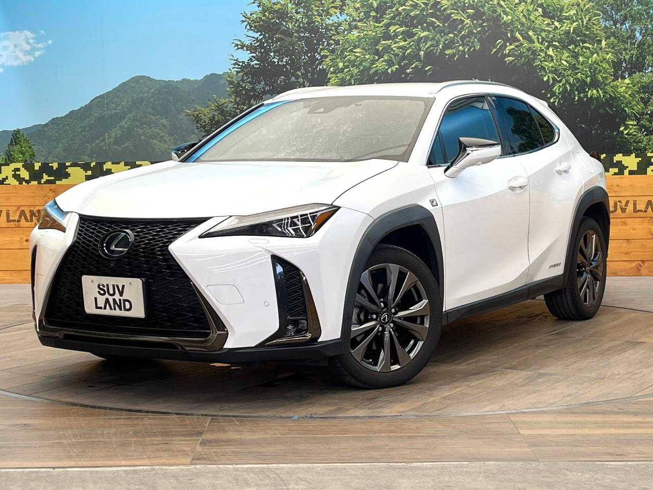 2021 Lexus UX Hybrid UX250h F SPORT