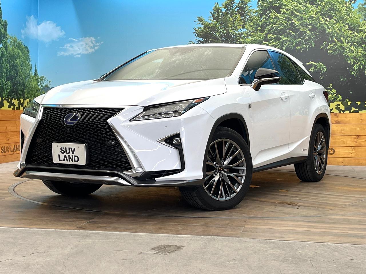 2018 Lexus RX Hybrid RX450h F SPORT