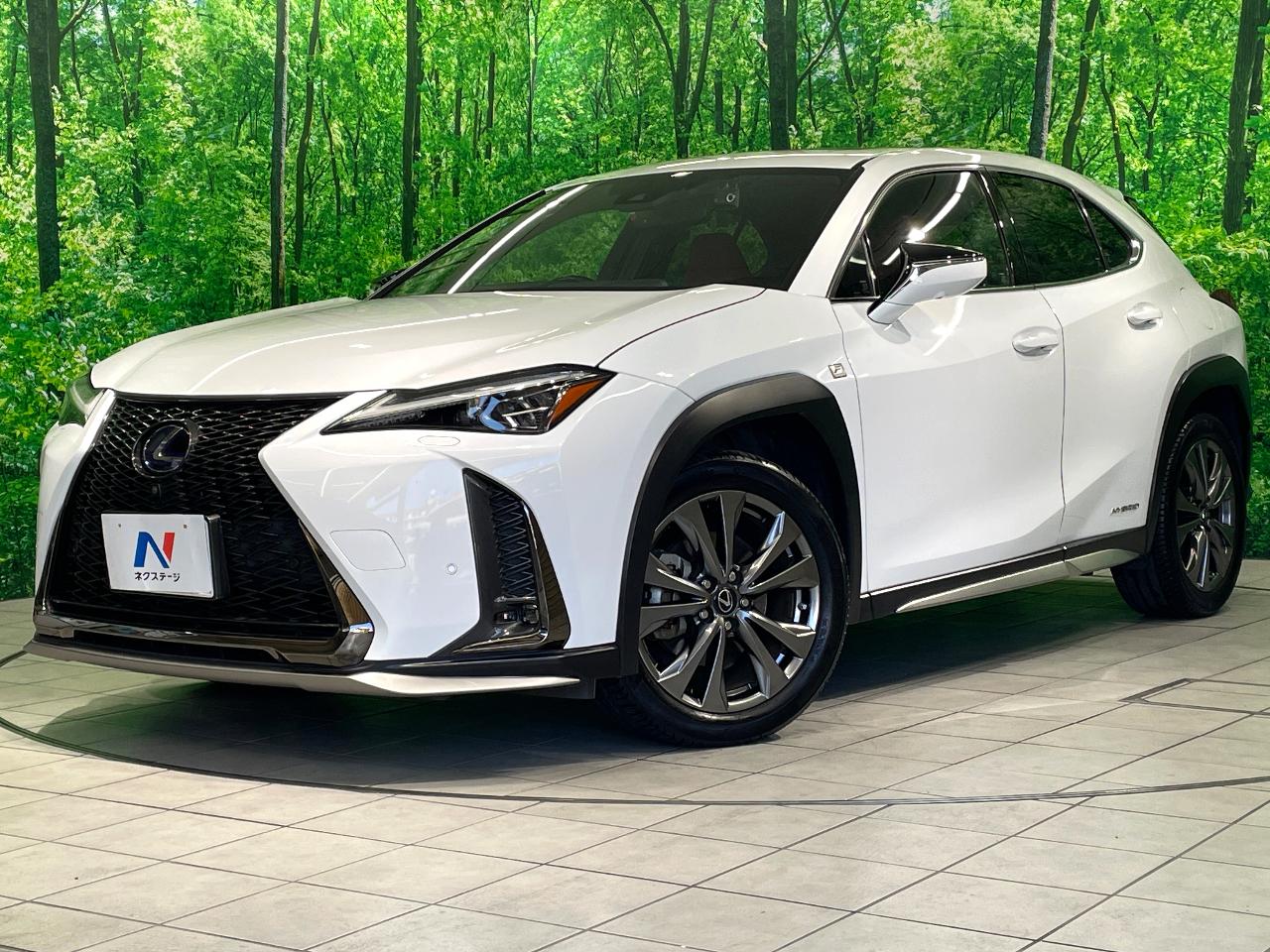 2019 Lexus UX Hybrid UX250h F SPORT