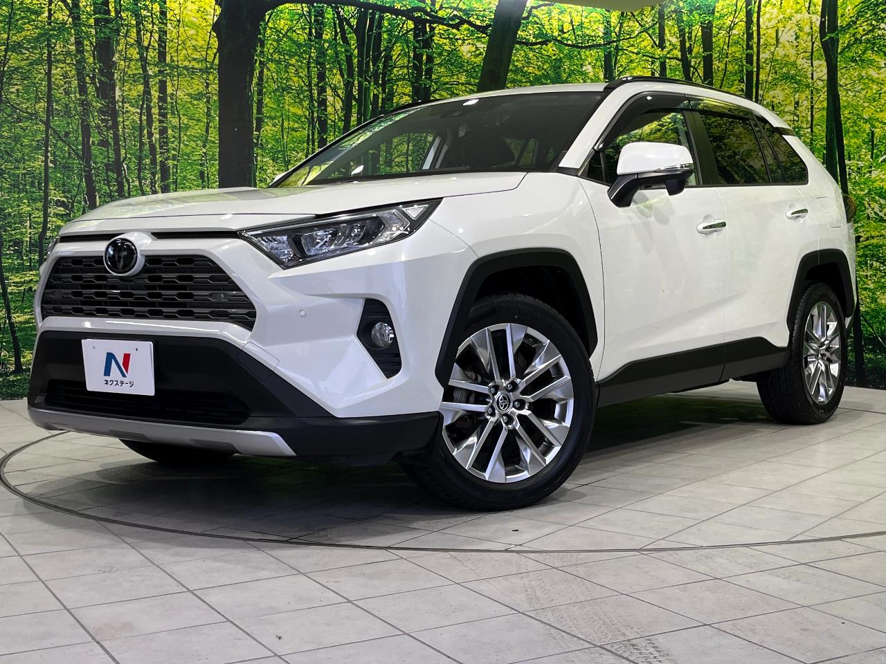 2020 Toyota RAV4 5D G Z Package