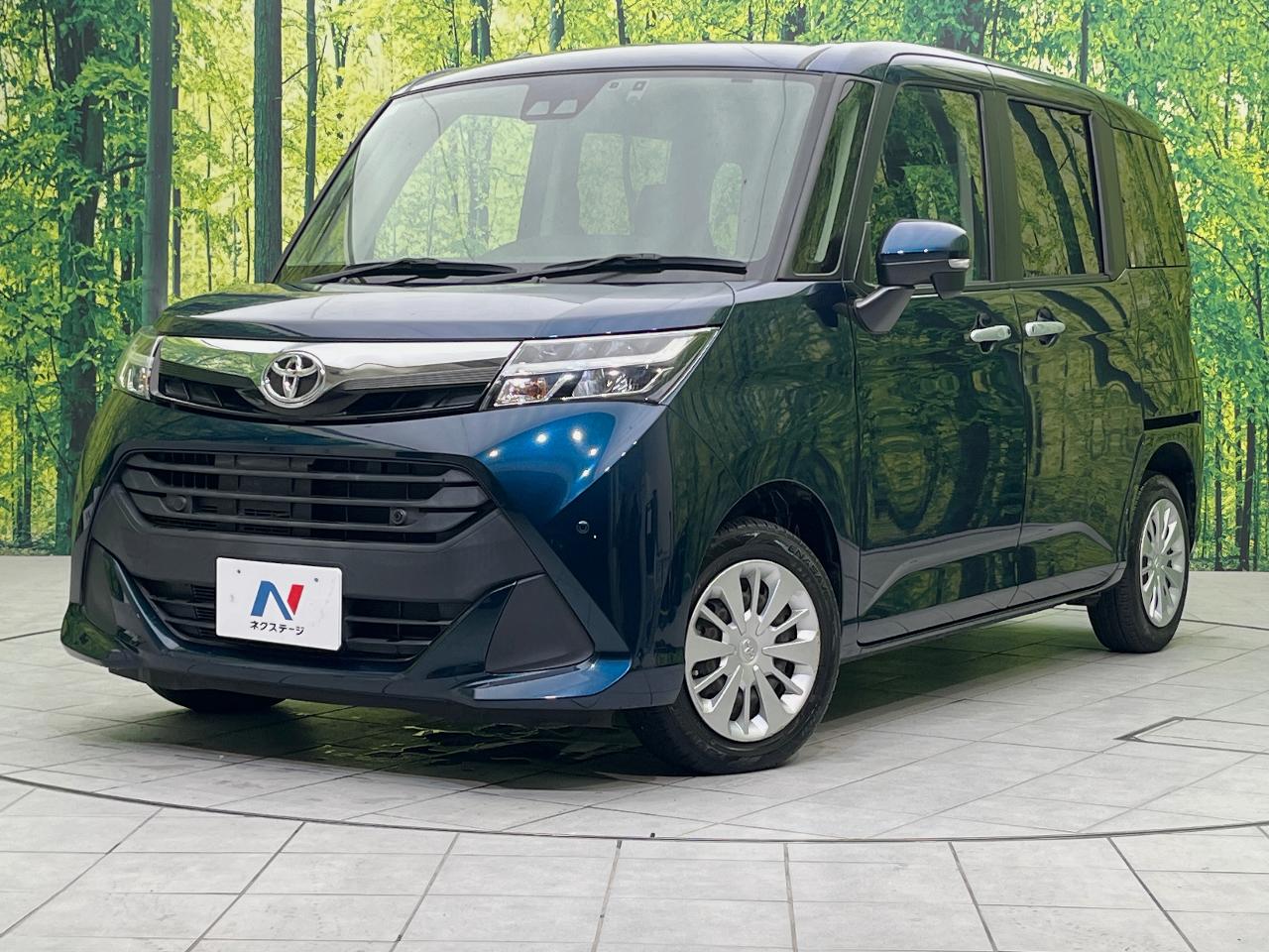 2019 Toyota Tank G