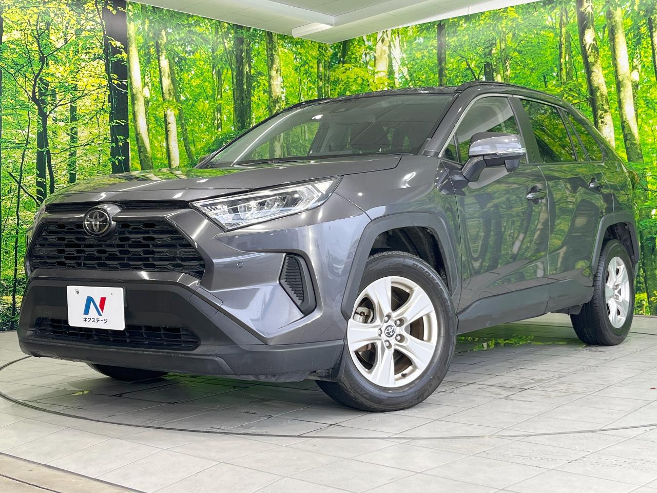 2019 Toyota RAV4 5D X