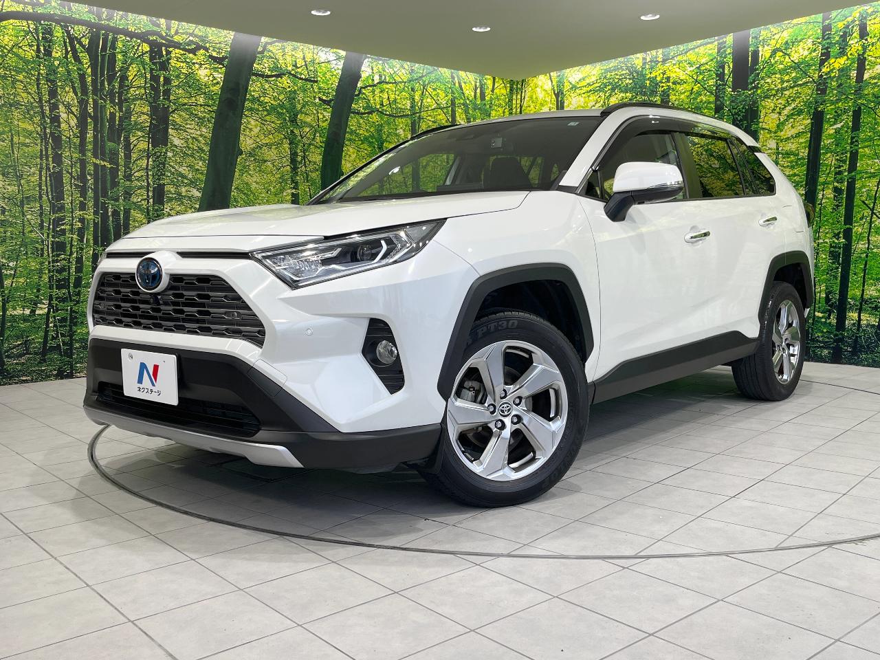 2021 Toyota RAV4 Hybrid Hybrid G