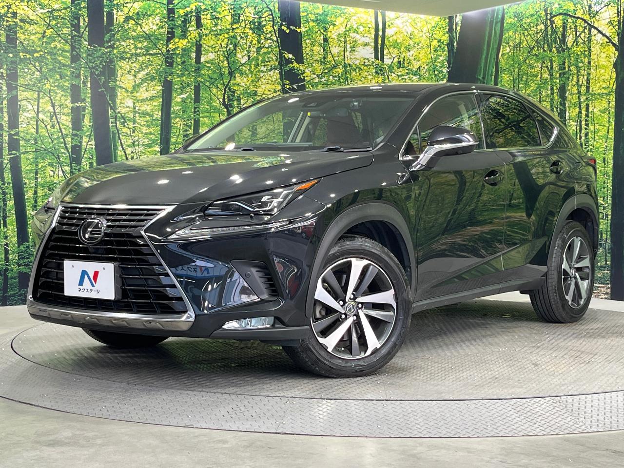 2018 Lexus NX NX300i Package