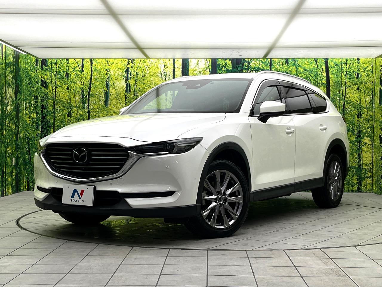 2019 Mazda CX-8 XD Proactive