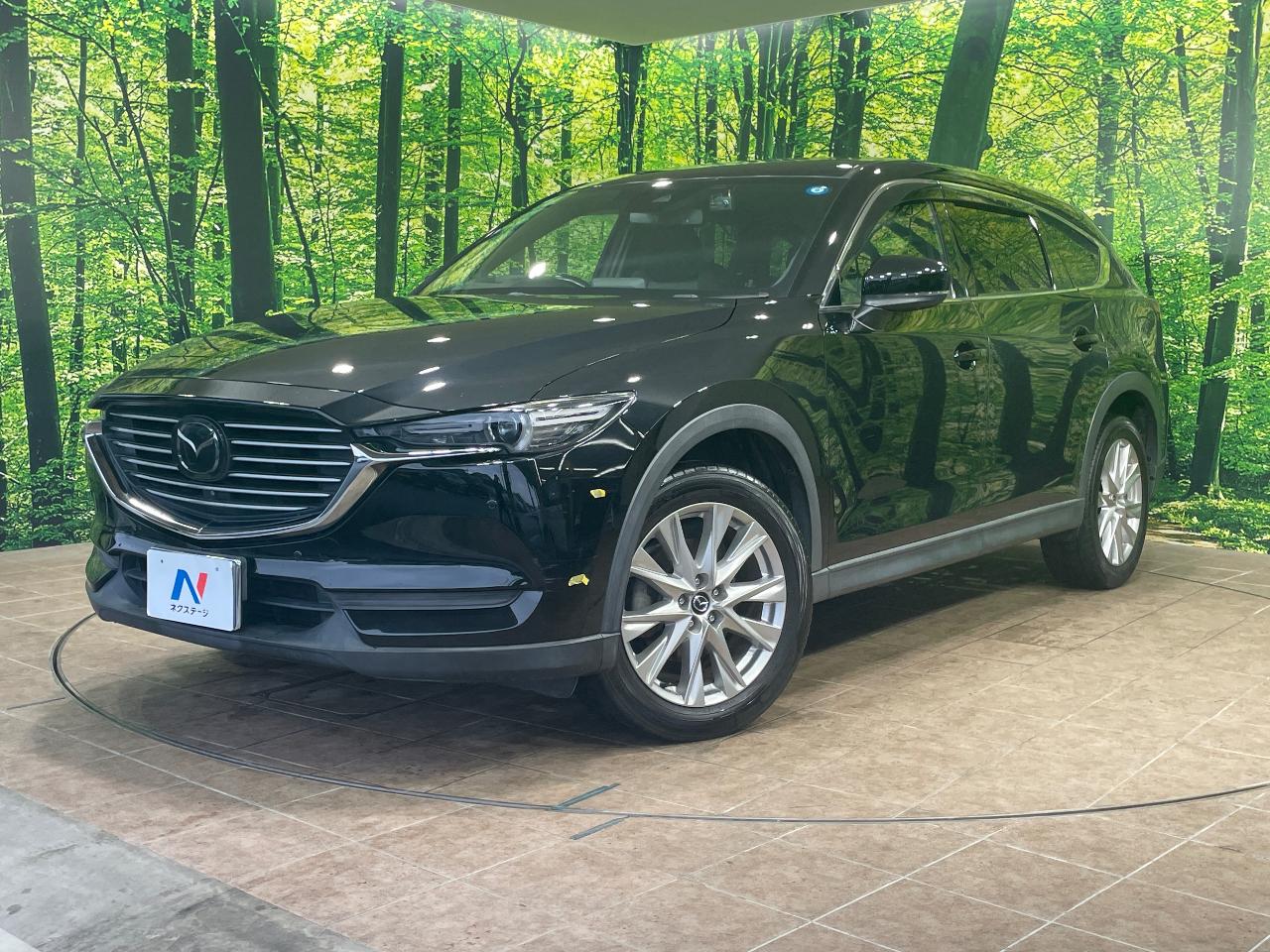 2018 Mazda CX-8 XD Proactive