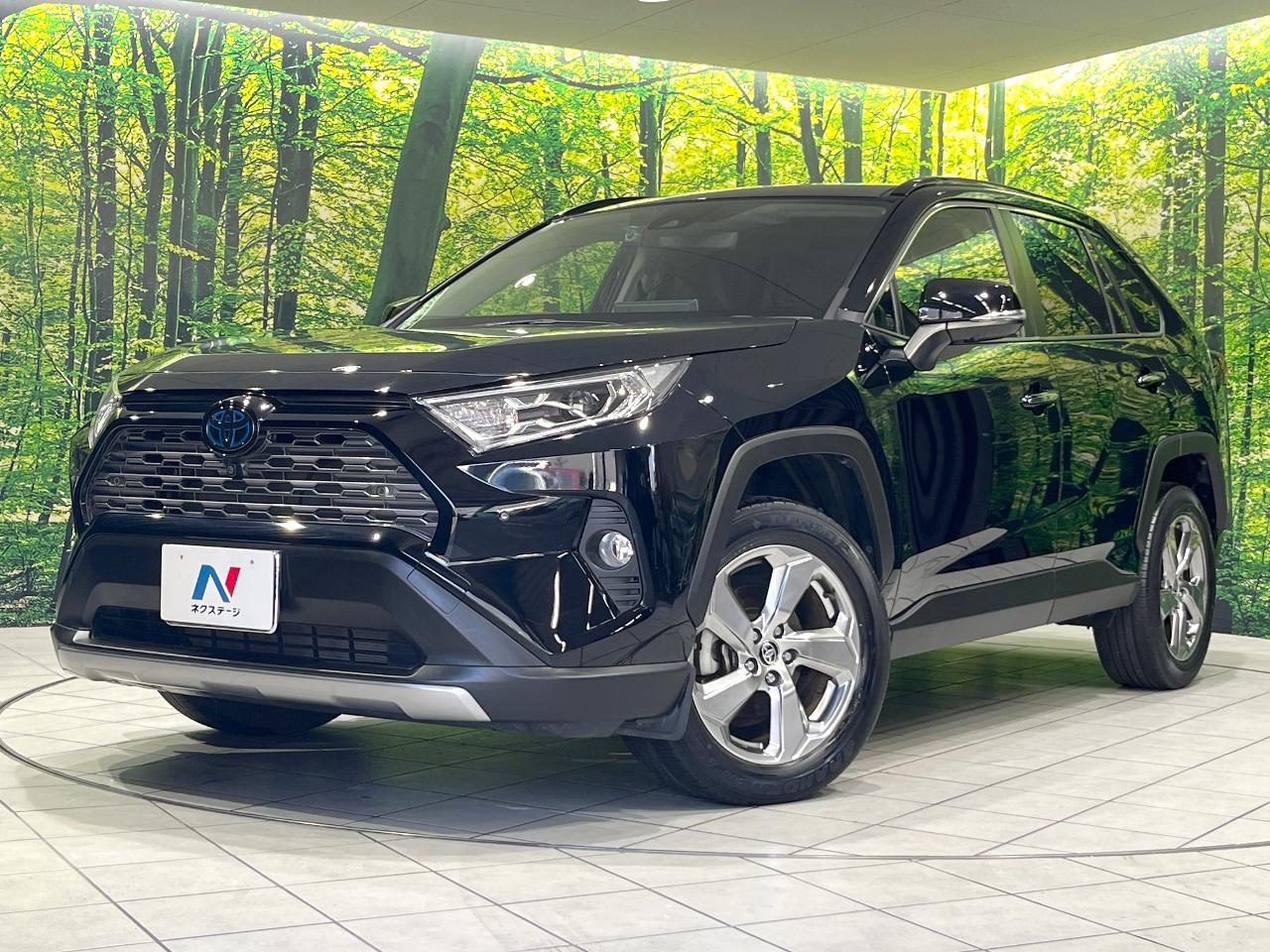 2021 Toyota RAV4 Hybrid Hybrid G
