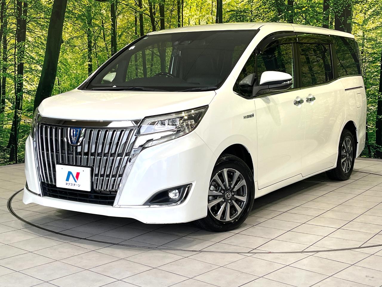 2018 Toyota Esquire Hybrid Hybrid Gi