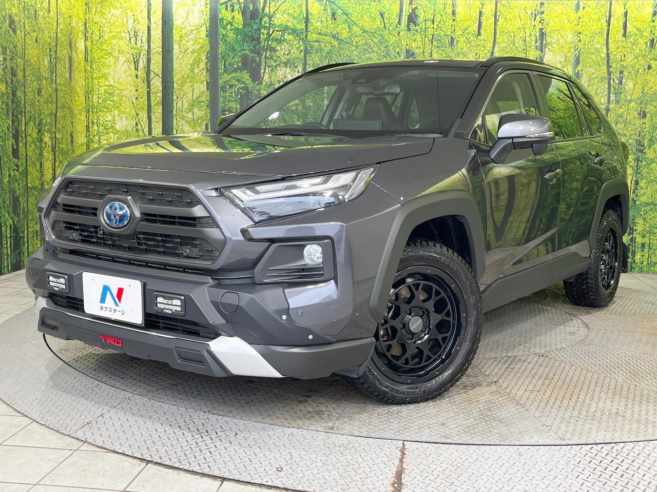 2024 Toyota RAV4 Hybrid Hybrid Adventure