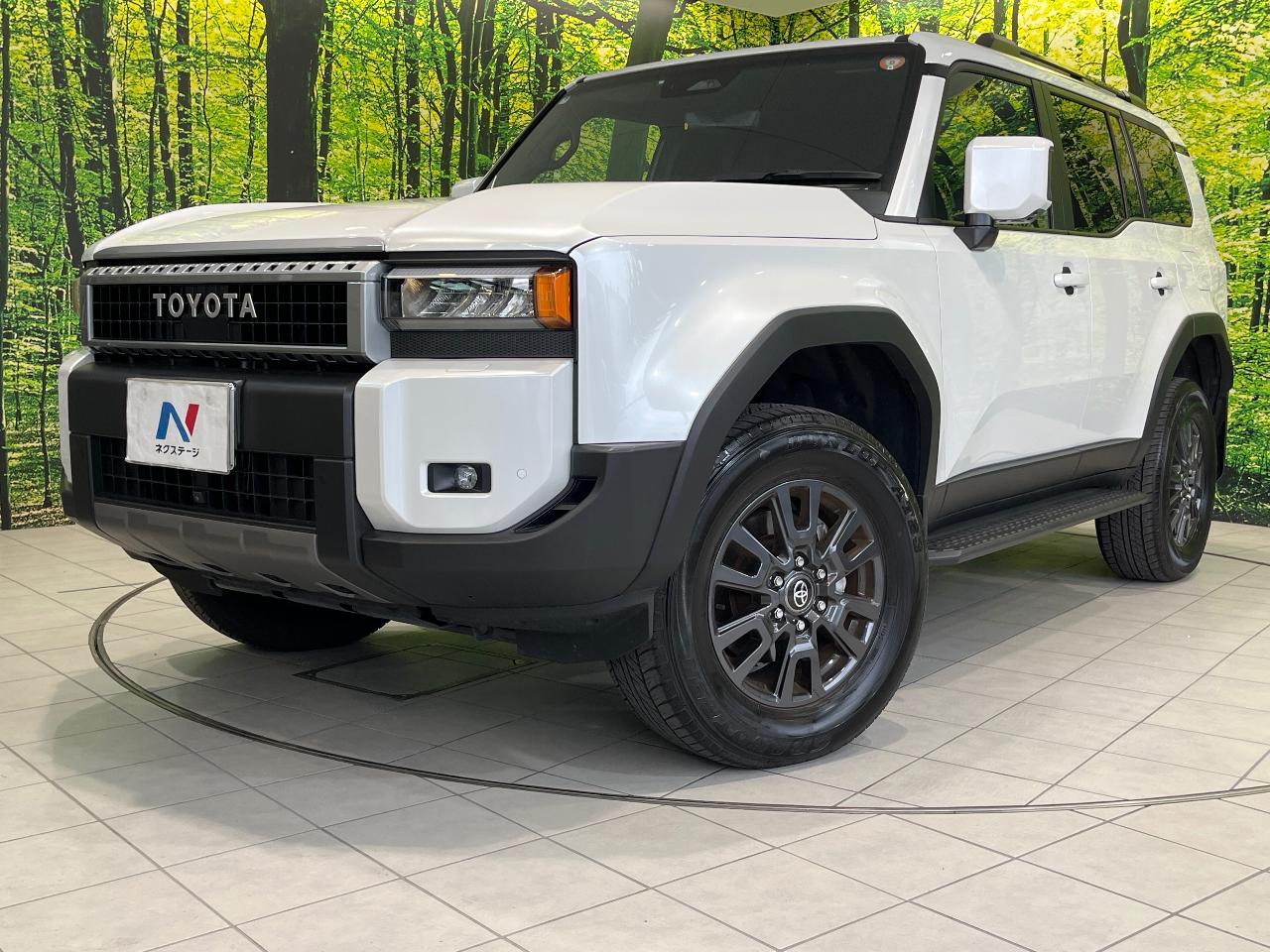 2025 Toyota LandCruiser 250 VX