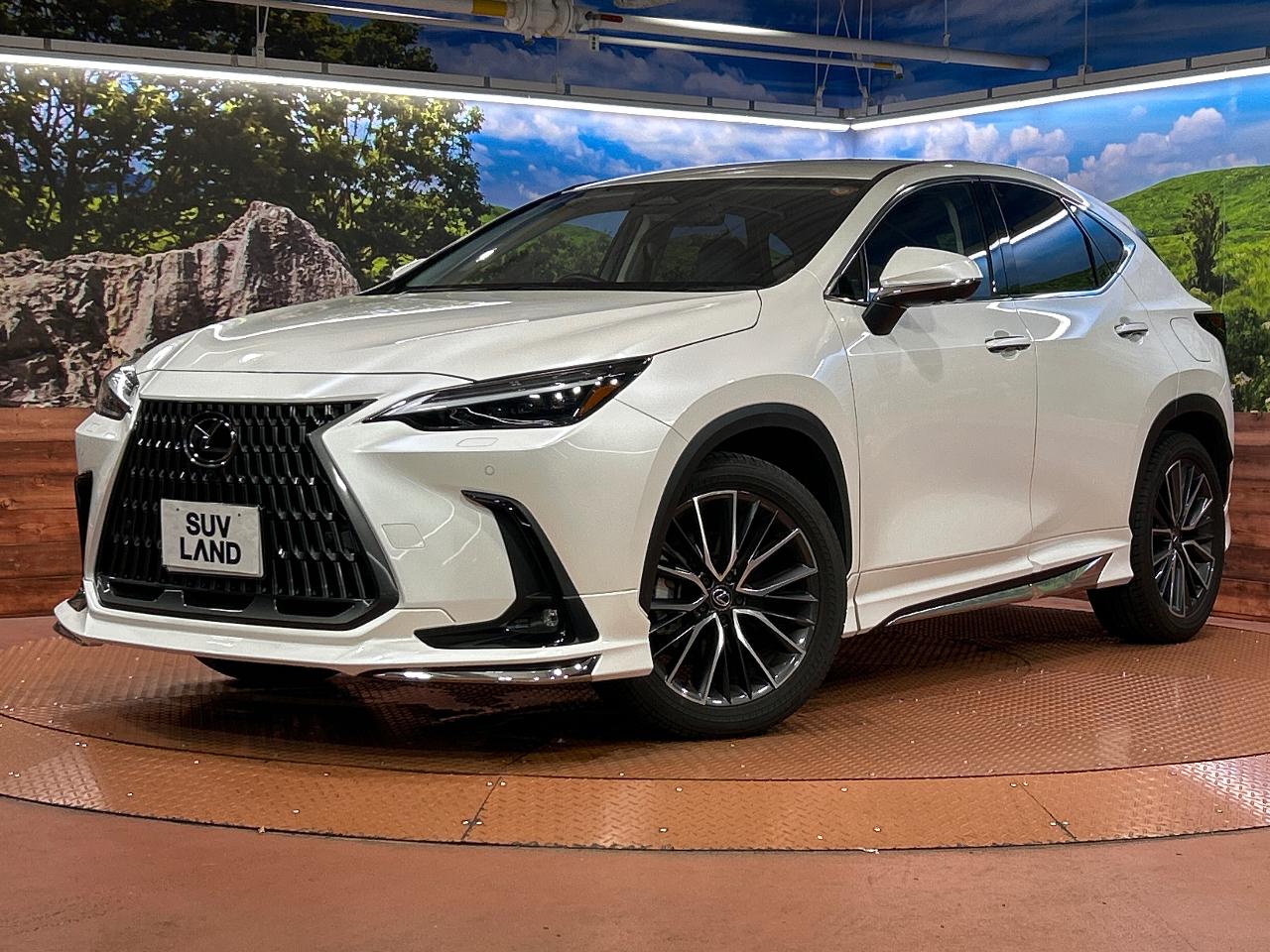 2023 Lexus NX NX250 Version L