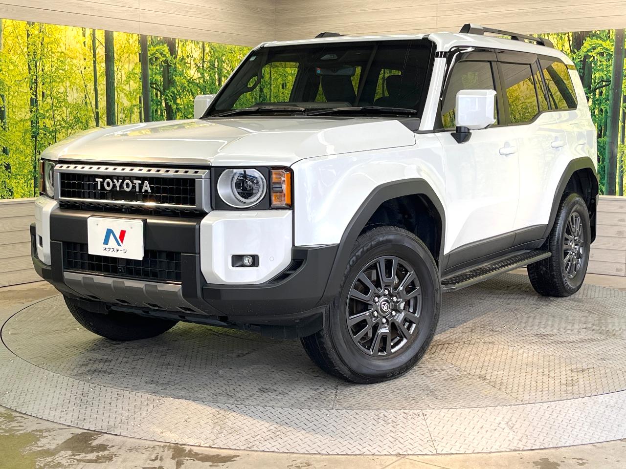 2024 Toyota LandCruiser 250 VX