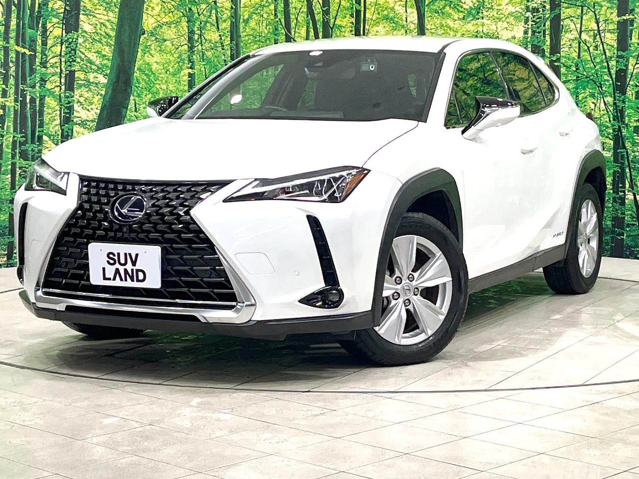 2021 Lexus UX Hybrid UX250h VERSION C