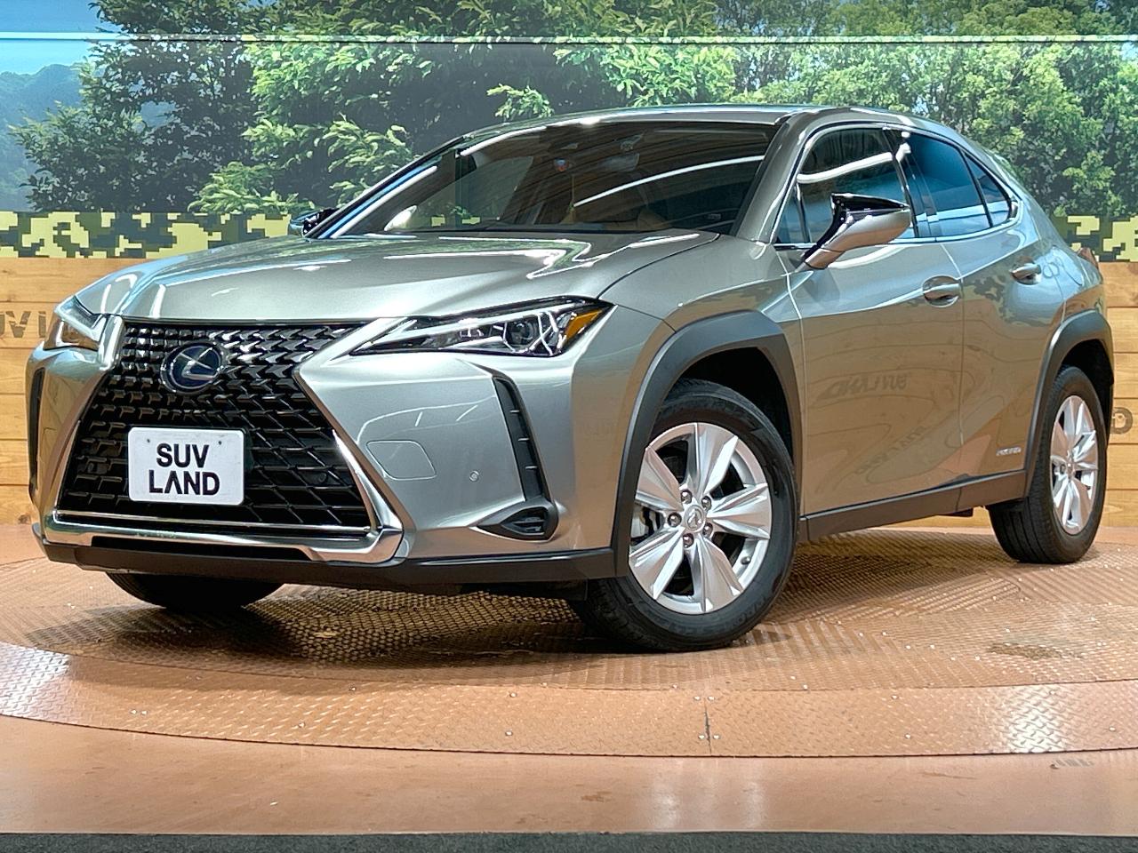 2020 Lexus UX Hybrid UX250h