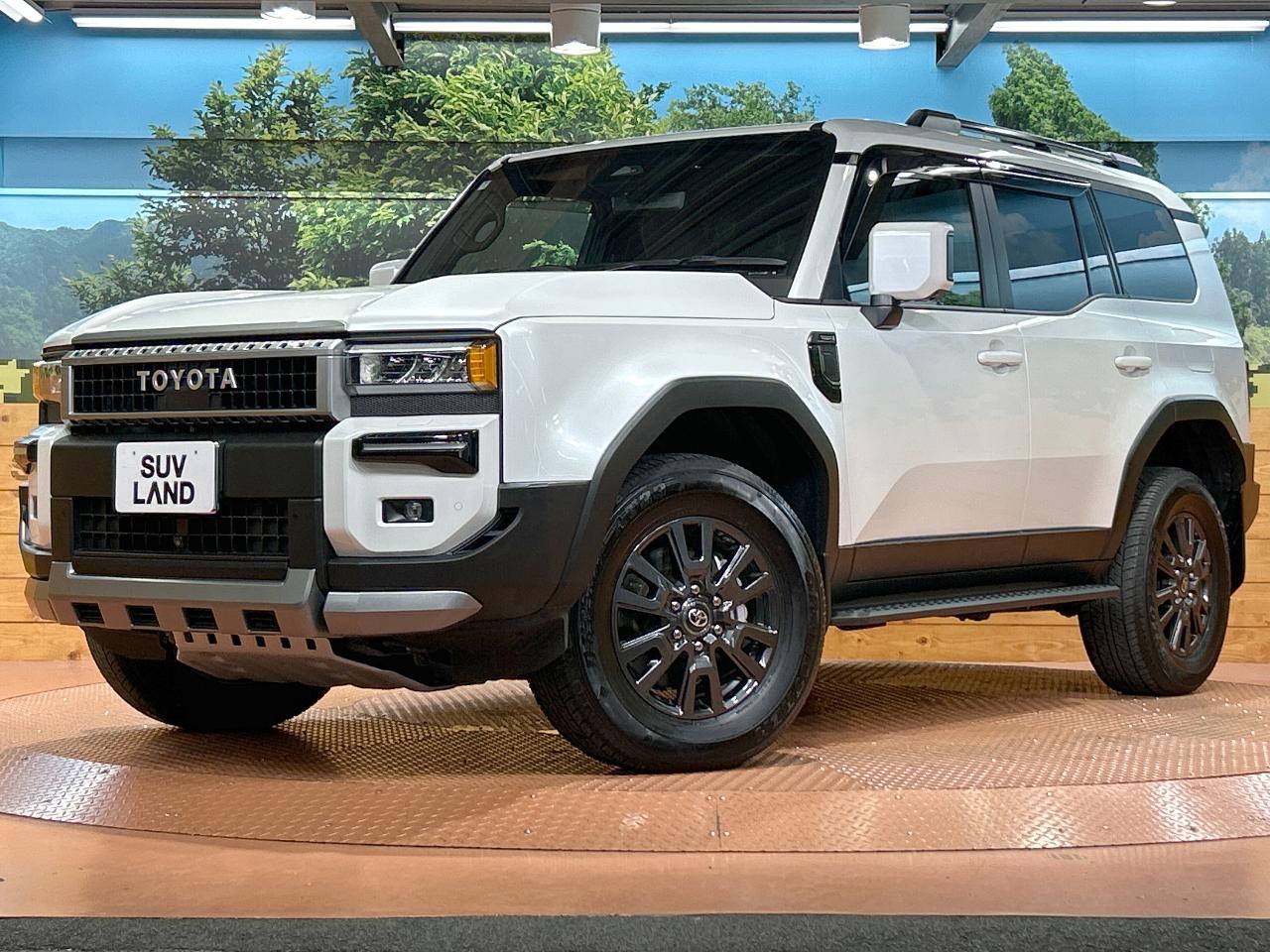 2024 Toyota LandCruiser 250 VX