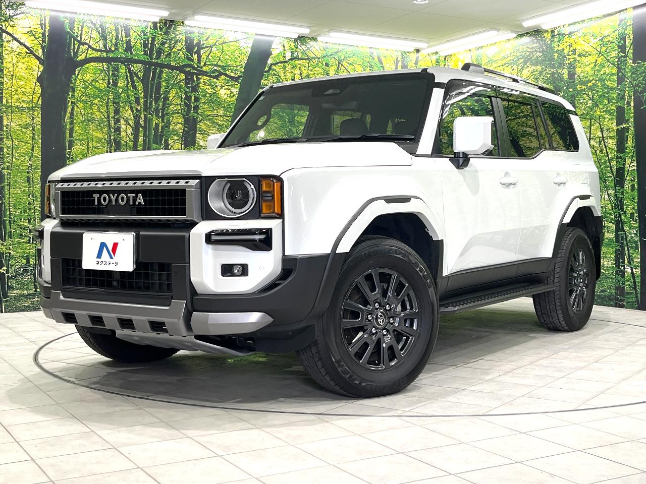 2025 Toyota LandCruiser 250 VX