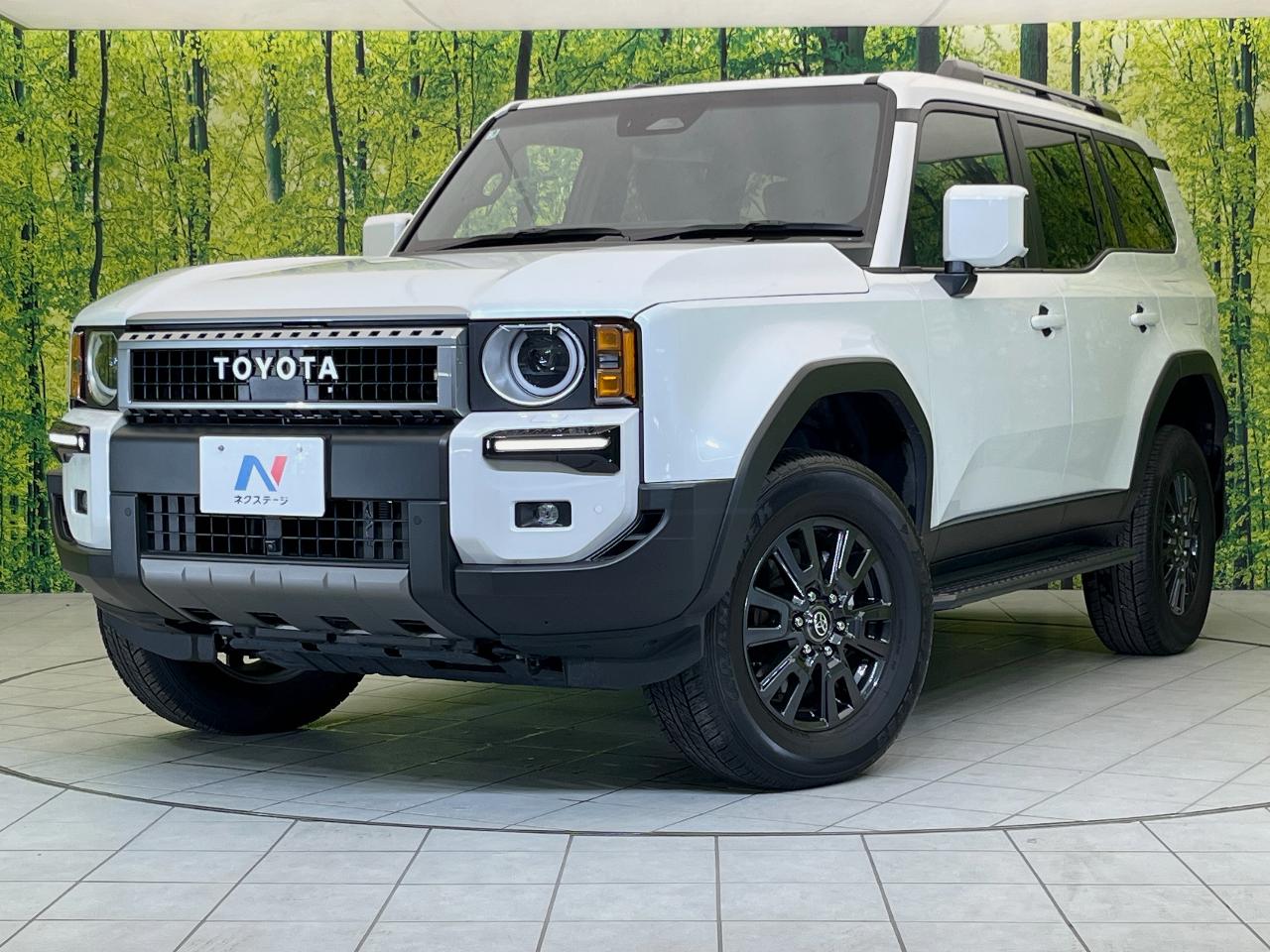 2025 Toyota LandCruiser 250 VX