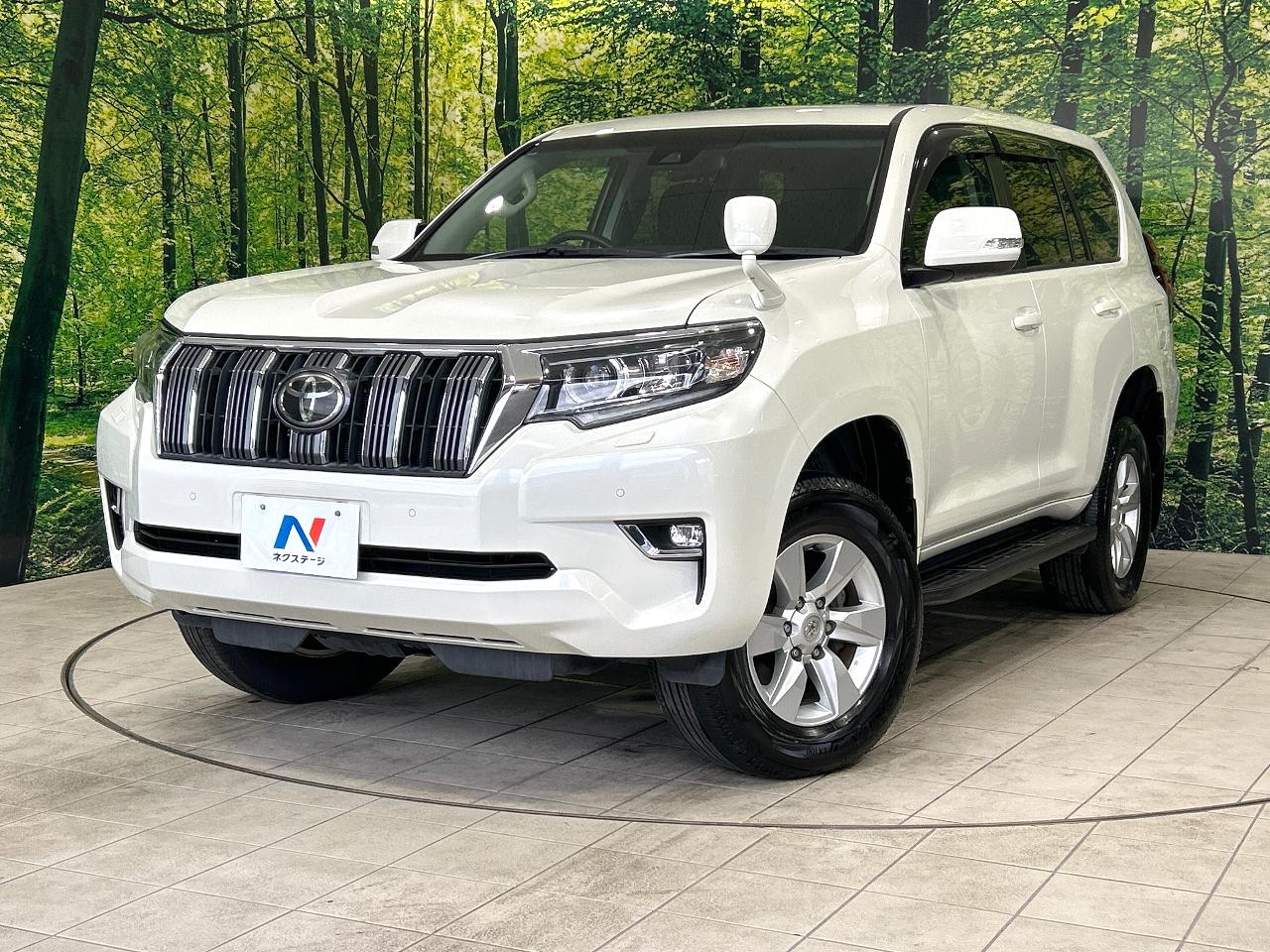2019 Toyota LandCruiser Prado 5D TX