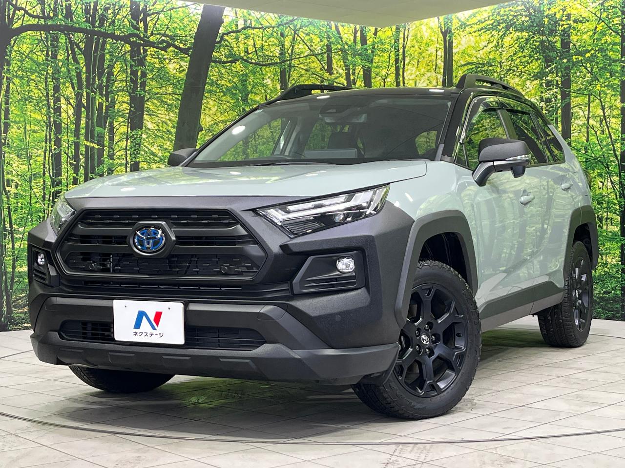 2024 Toyota RAV4 Hybrid Hybrid Adventure Offroad Package II
