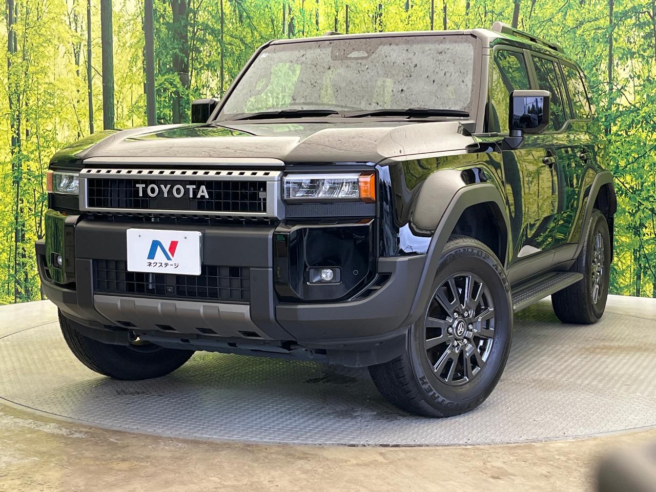 2025 Toyota LandCruiser 250 VX