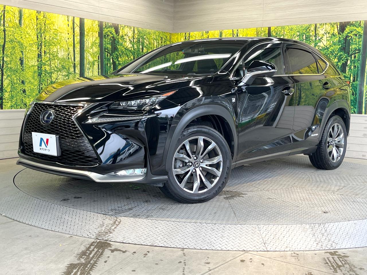 2015 Lexus NX Hybrid NX300h F SPORT