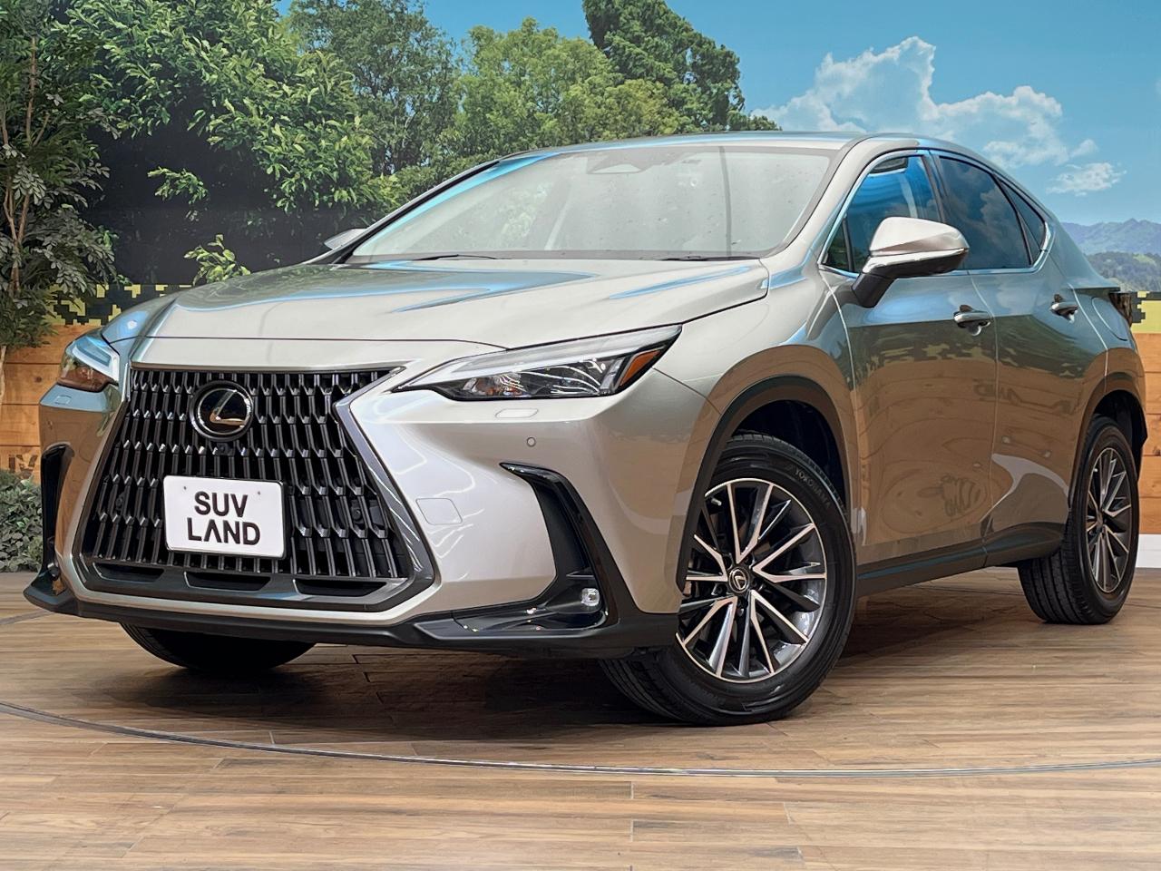 2023 Lexus NX NX250