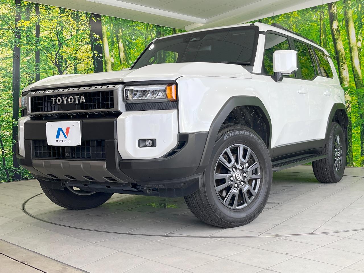 2025 Toyota LandCruiser 250 VX