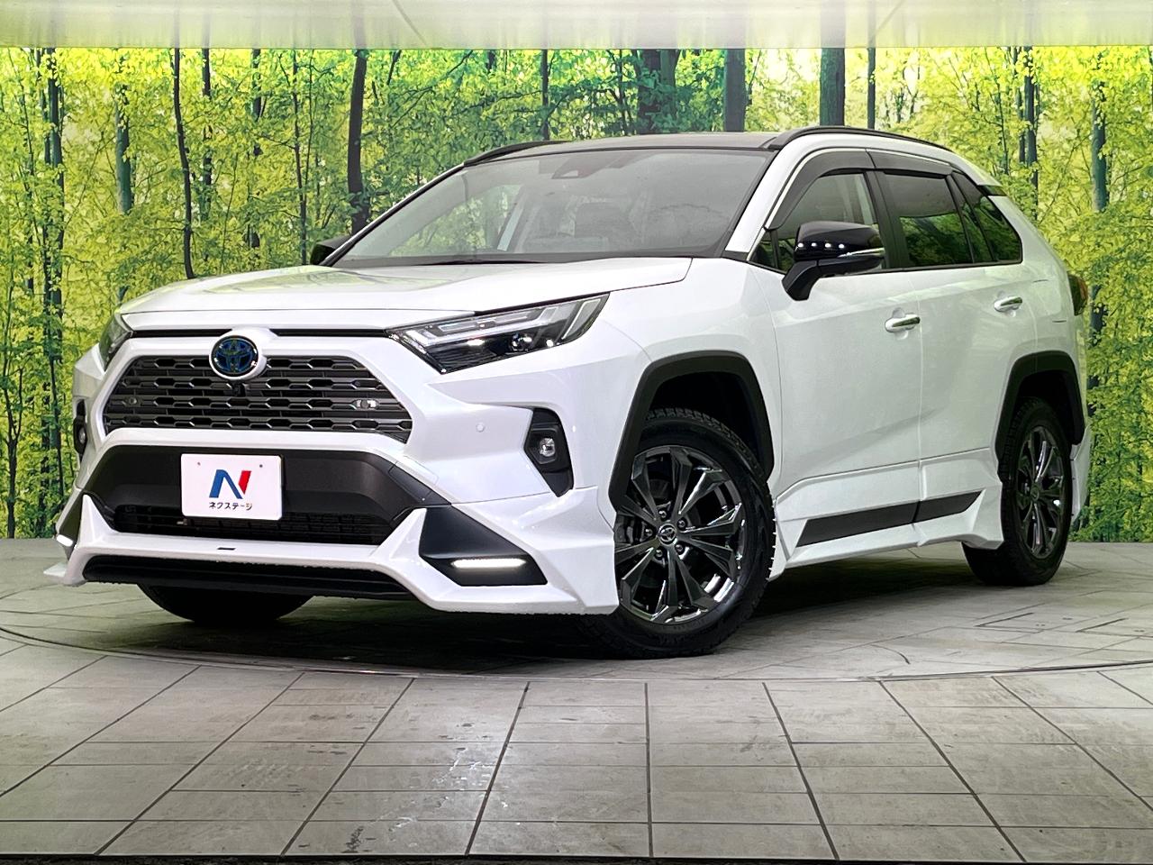 2024 Toyota RAV4 Hybrid Hybrid G