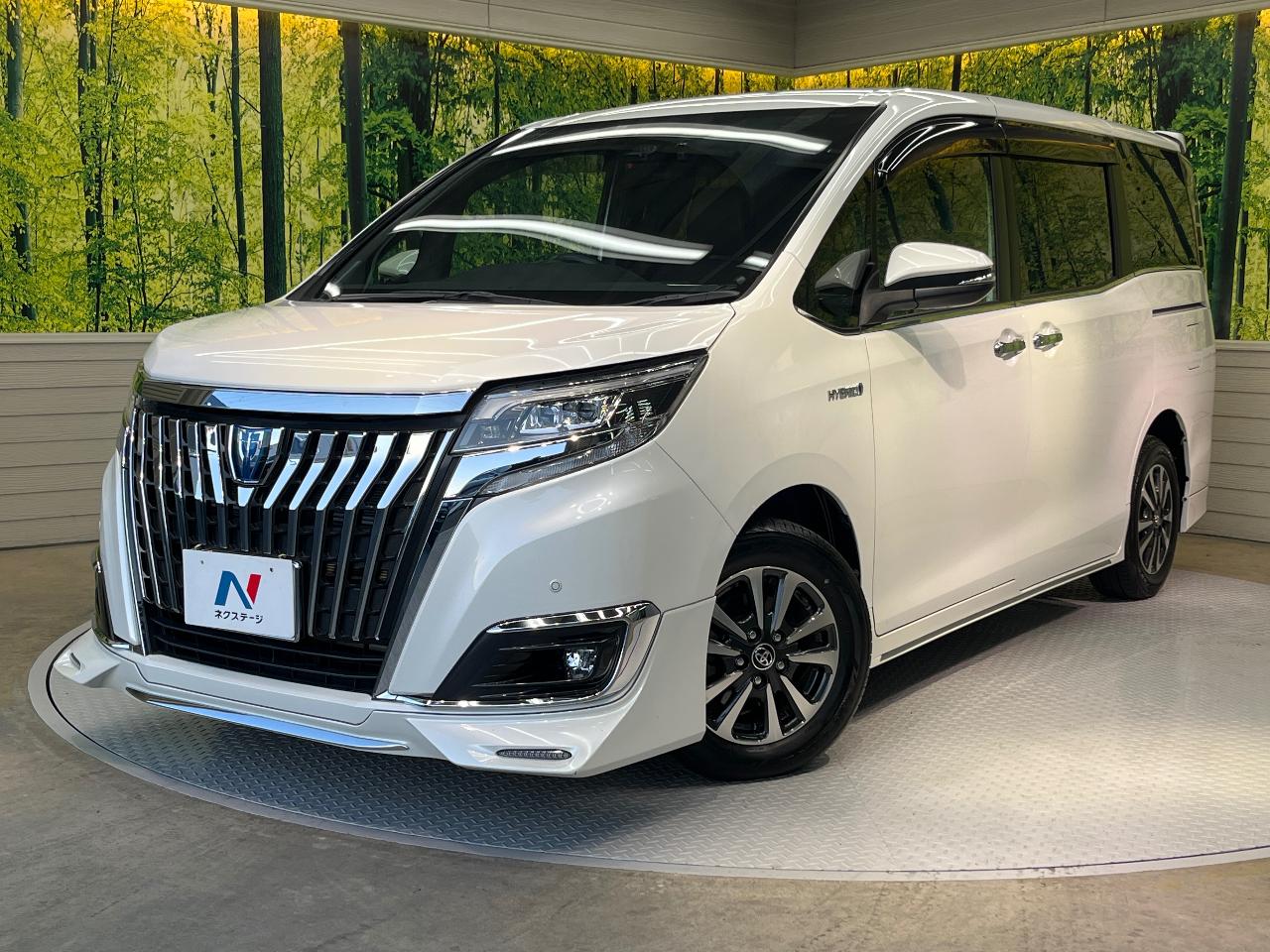 2018 Toyota Esquire Hybrid Hybrid Gi Premium Package