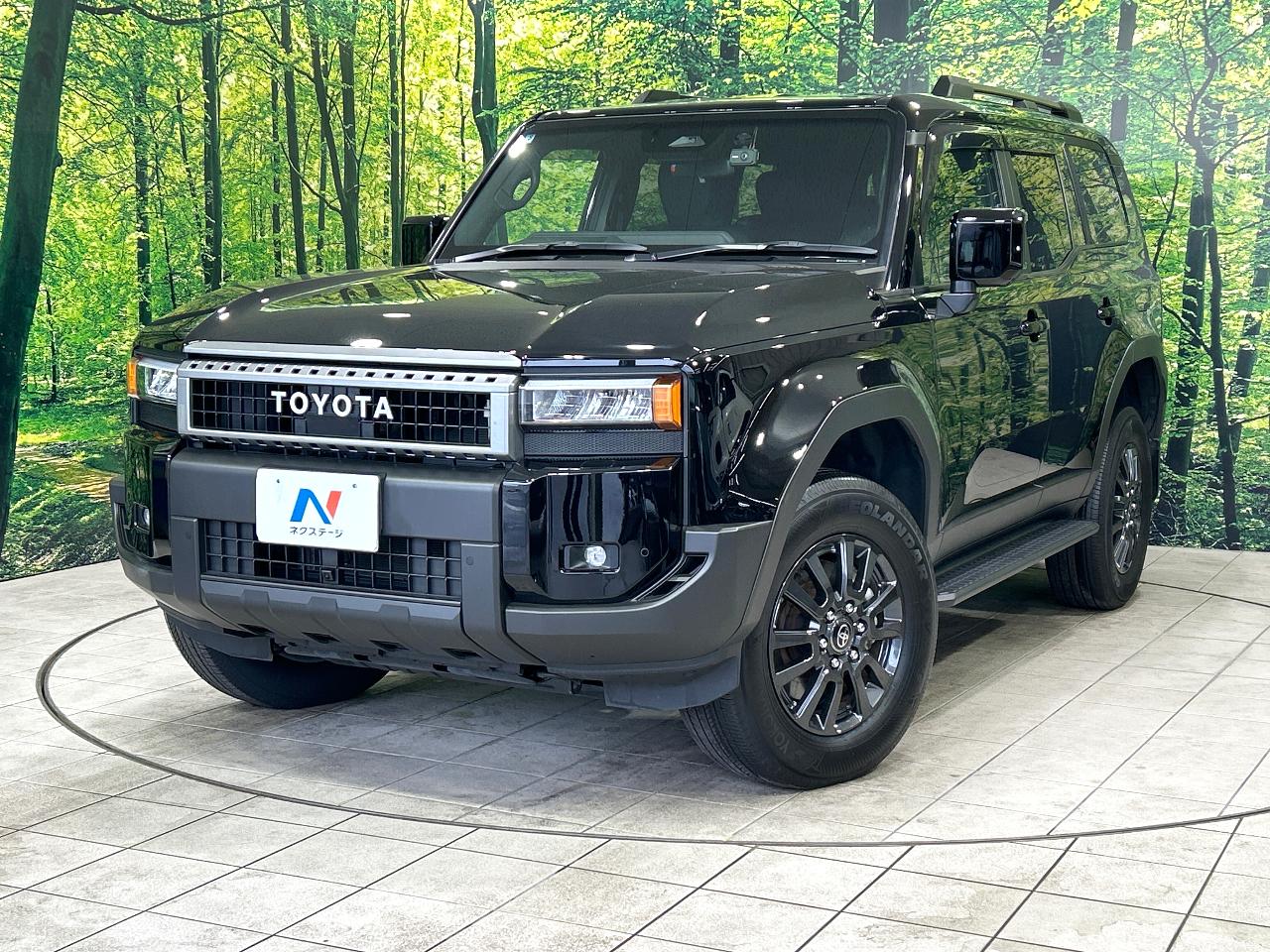 2025 Toyota LandCruiser 250 GX