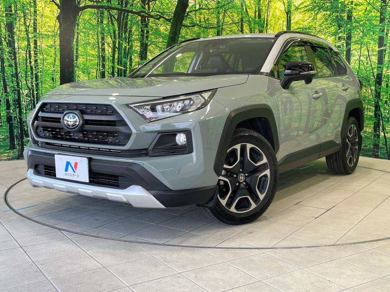 2019 Toyota RAV4 5D Adventure