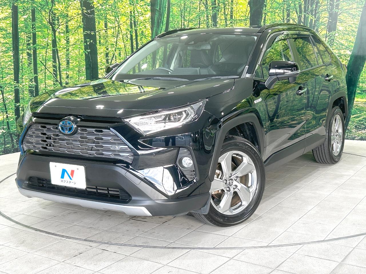 2020 Toyota RAV4 Hybrid Hybrid G