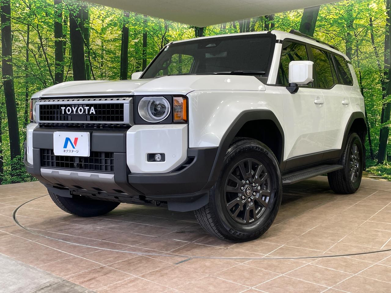 2025 Toyota LandCruiser 250 VX