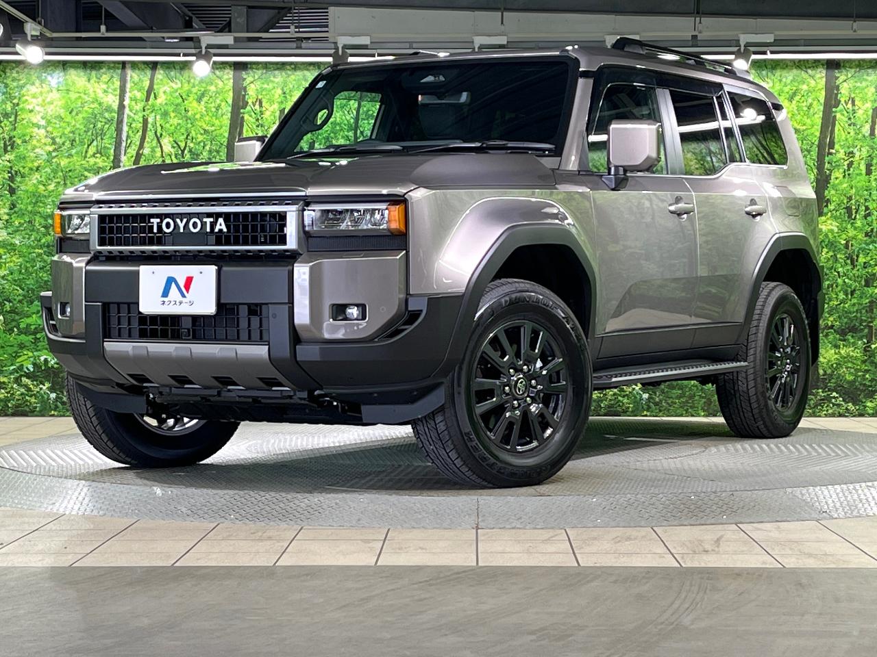 2025 Toyota LandCruiser 250 VX