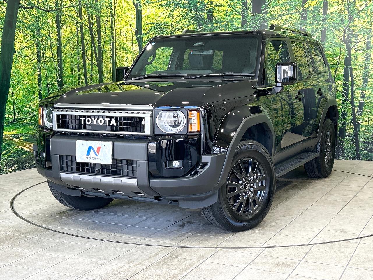 2025 Toyota LandCruiser 250 VX