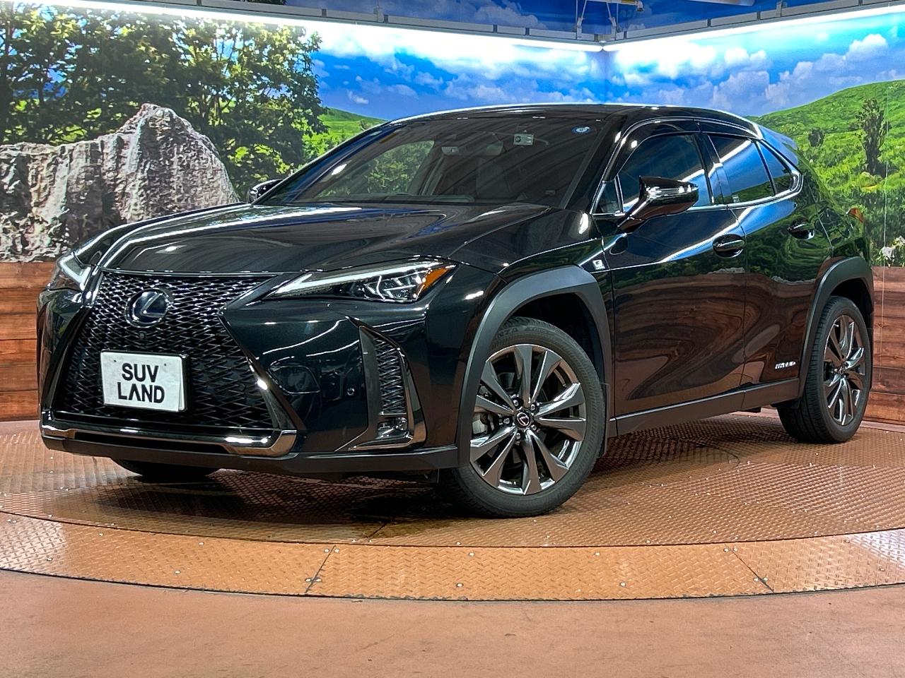 2019 Lexus UX Hybrid UX250h F SPORT