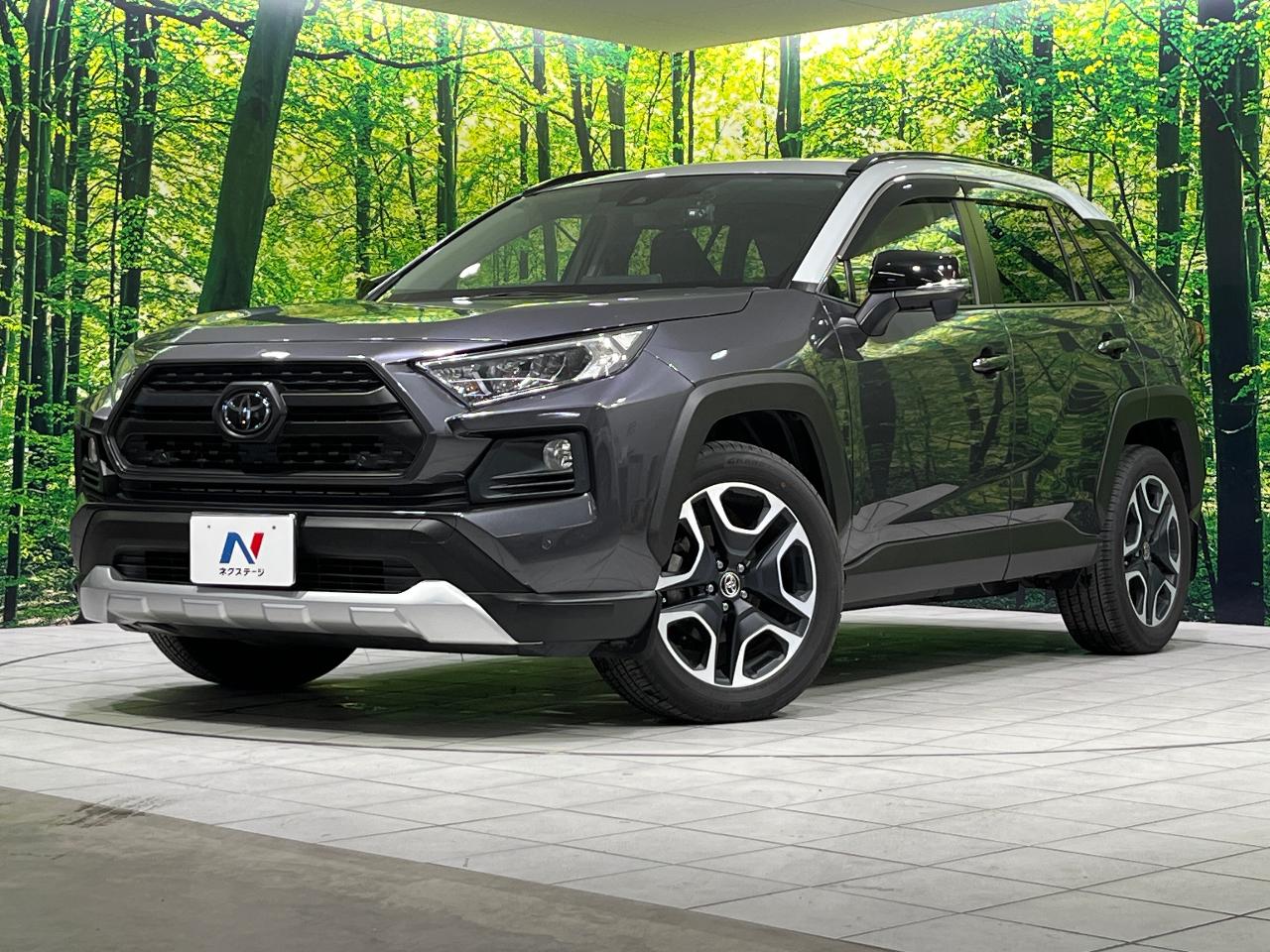 2019 Toyota RAV4 5D Adventure