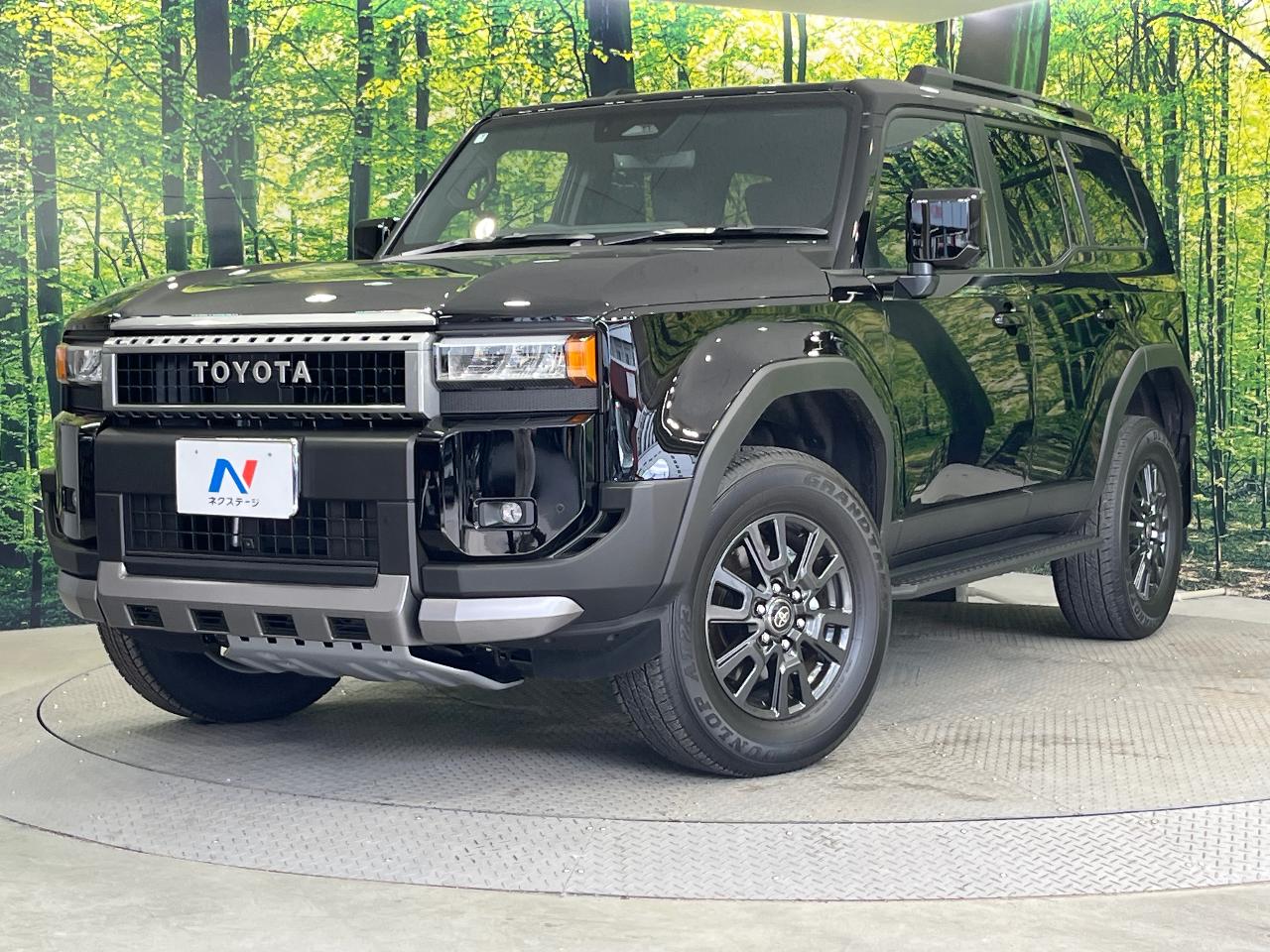 2025 Toyota LandCruiser 250 VX