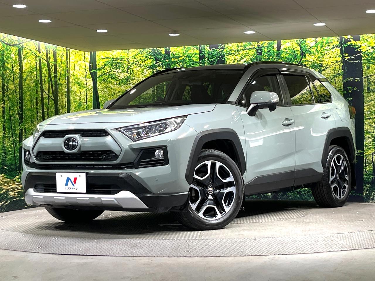 2020 Toyota RAV4 5D Adventure