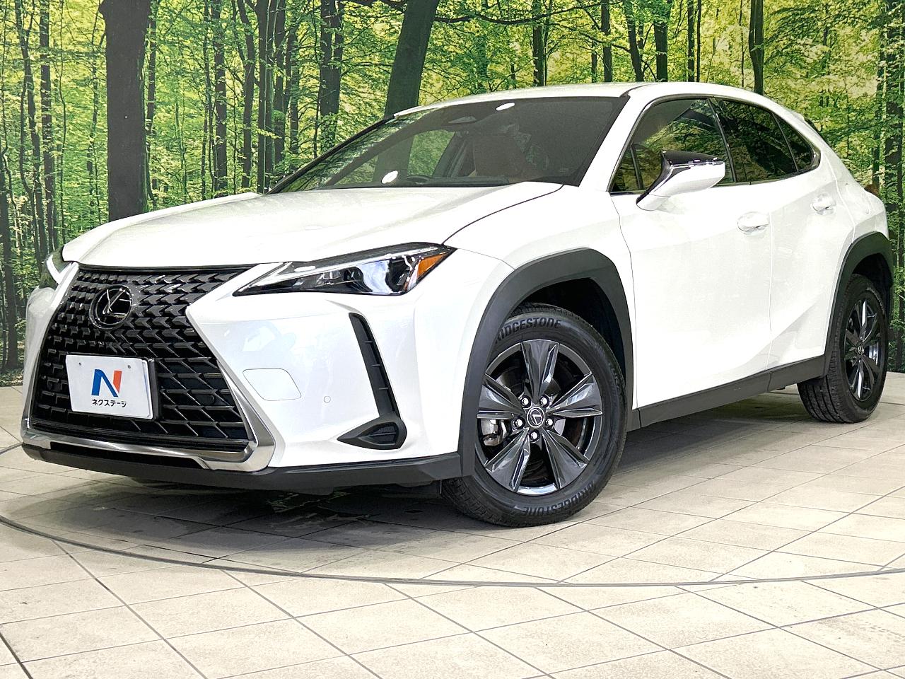 2024 Lexus UX Hybrid UX300h