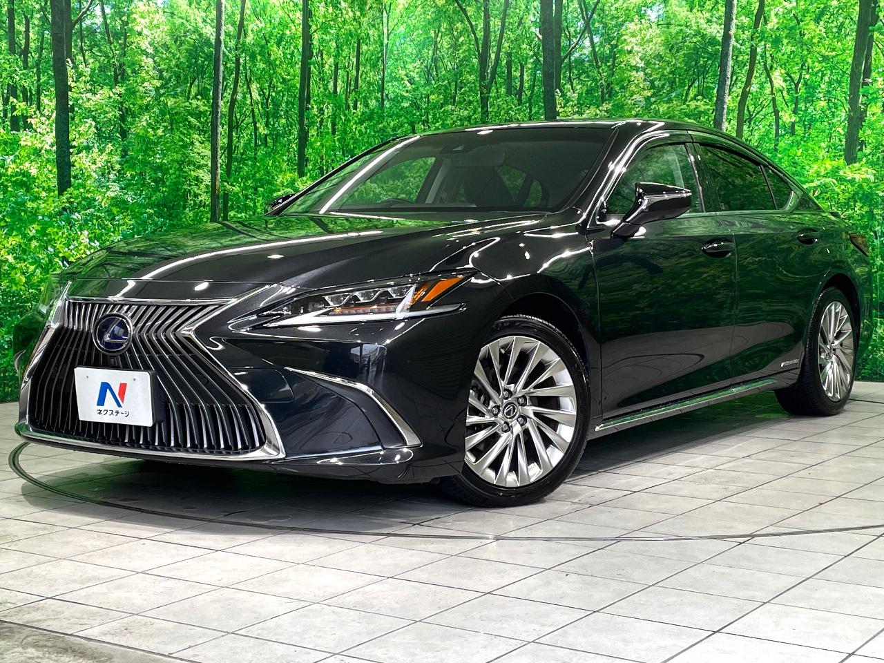 2019 Lexus ES ES300h Version L