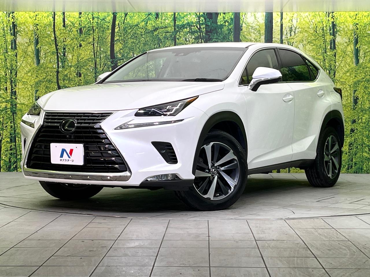 2018 Lexus NX NX300i Package