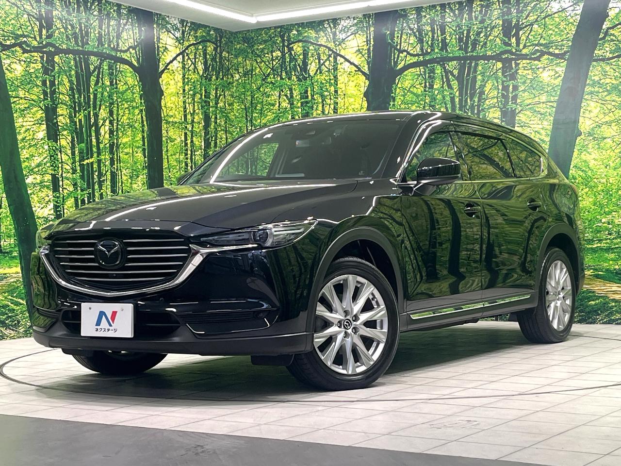 2018 Mazda CX-8 XD Proactive