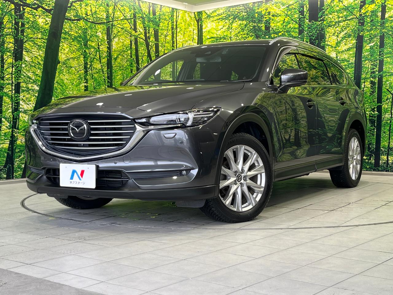 2018 Mazda CX-8 XD Proactive