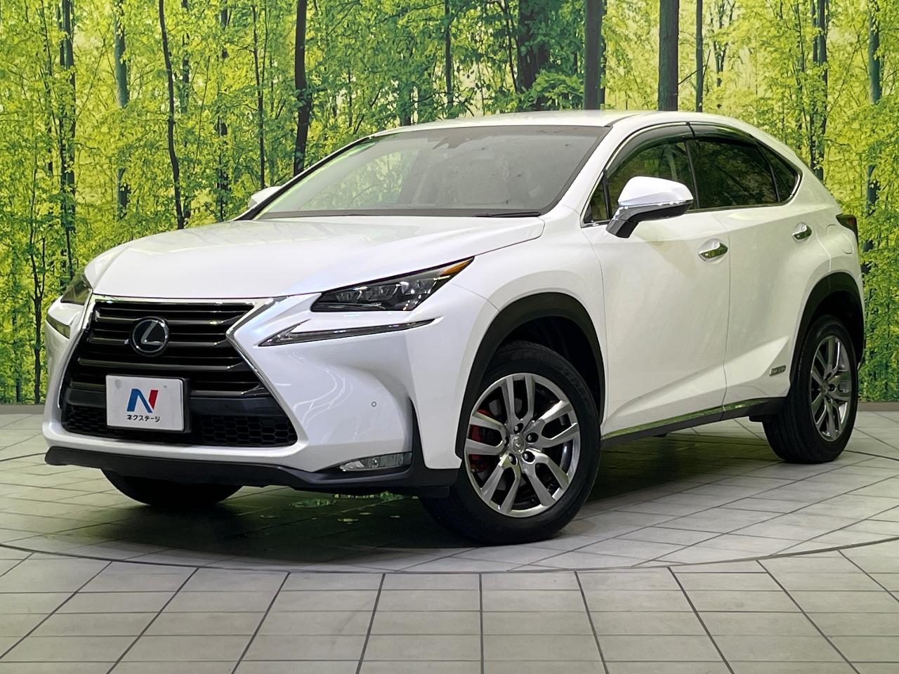 2016 Lexus NX Hybrid NX300h I Package