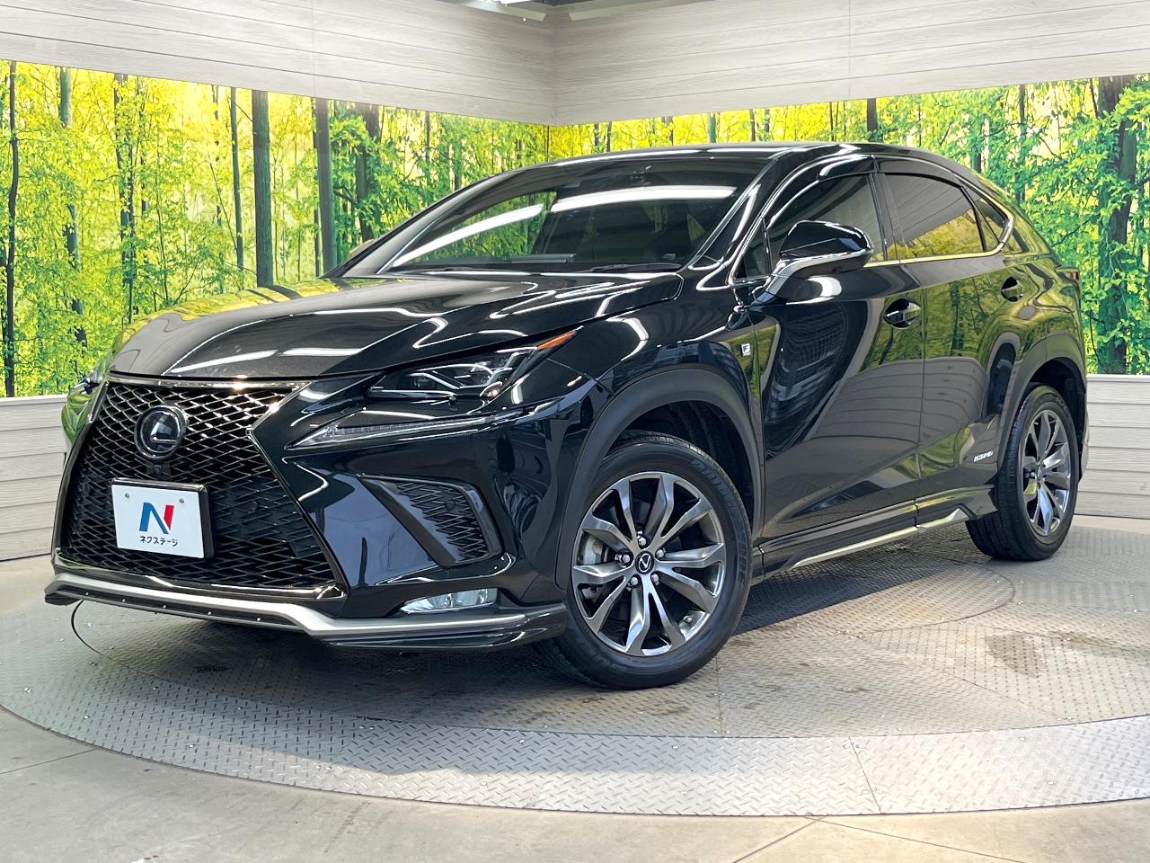 2019 Lexus NX Hybrid NX300h F SPORT