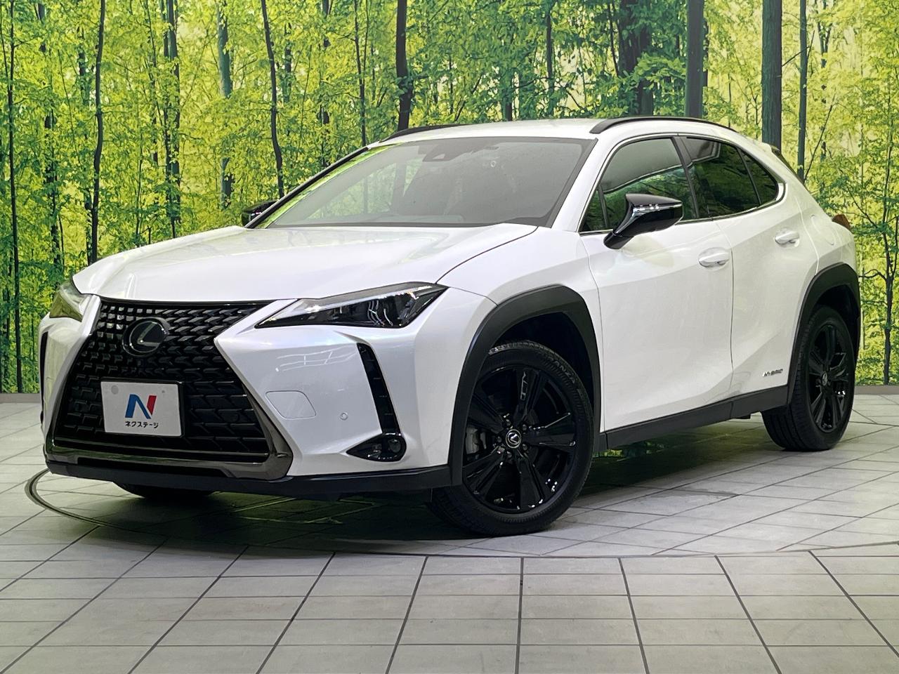 2021 Lexus UX Hybrid UX250h Urban Elegance Special Edition